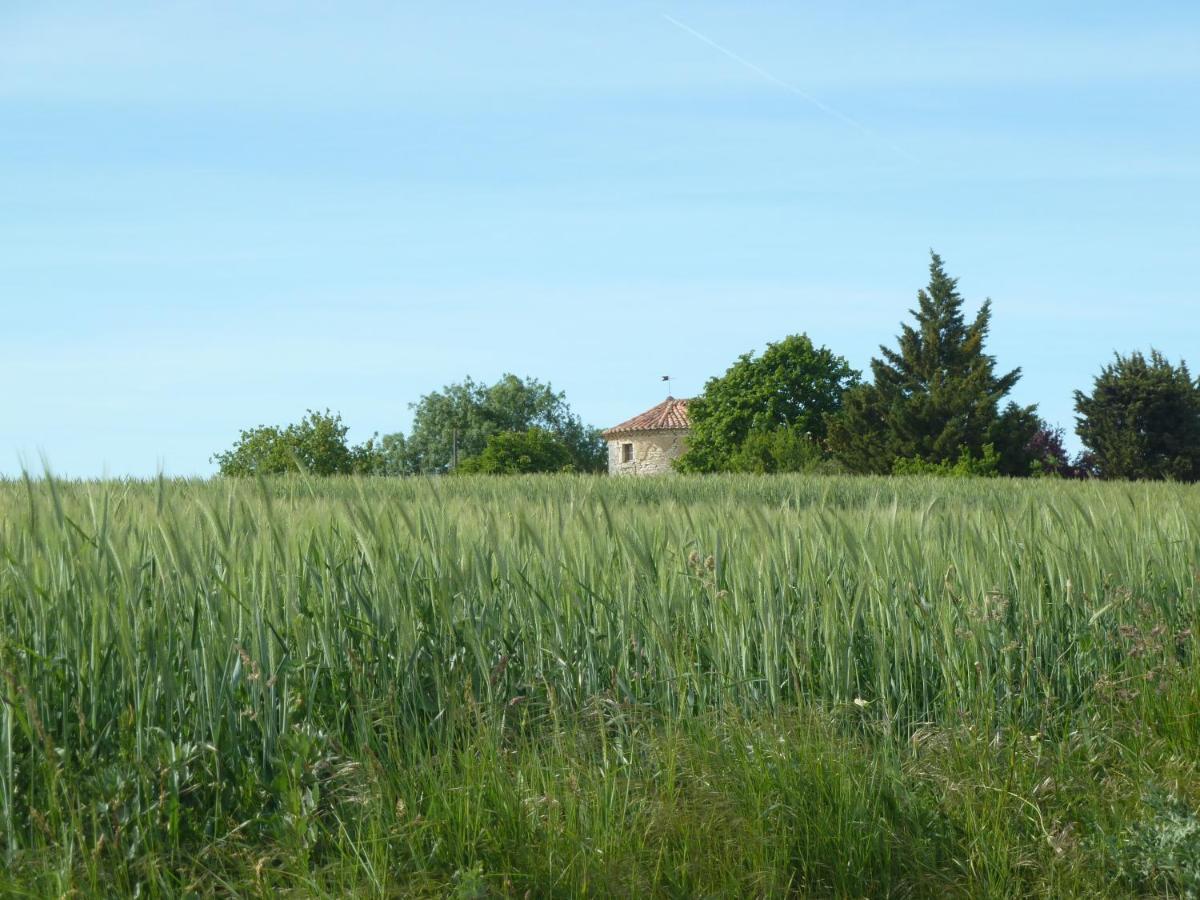 Chateau De Puissentut Bed & Breakfast Homps  Екстериор снимка